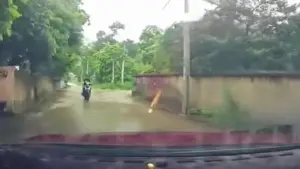 Mải dùng điện thoại, người đi xe máy lao thẳng vào đầu ôtô